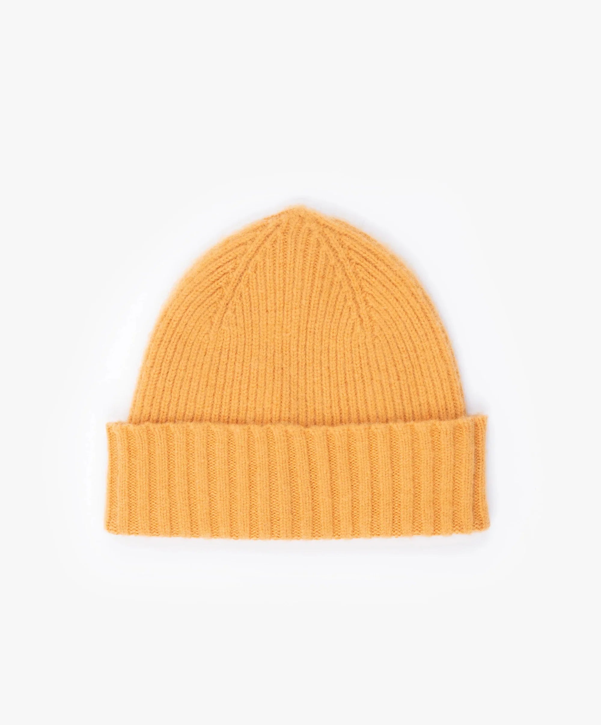 Howlin King Jammy Wool Beanie Honey